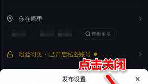 抖音如何设置自动发布？掌握此方法轻松定时分享精彩内容