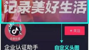 抖音实名认证卖假货,该找谁来维护消费者权益?